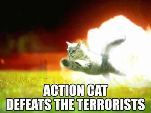 action-cat-defeat-the-terrorists.jpg