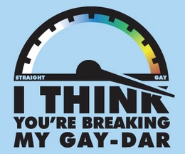 breaking-my-gay-dar.jpg