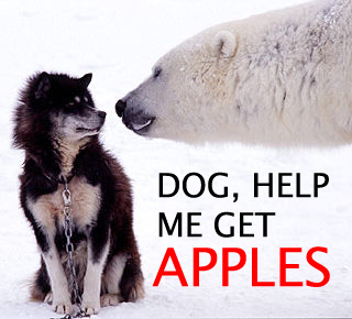 dog-get-me-apples.jpg