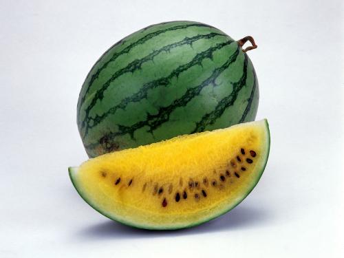 fruit-wallpaper.jpg