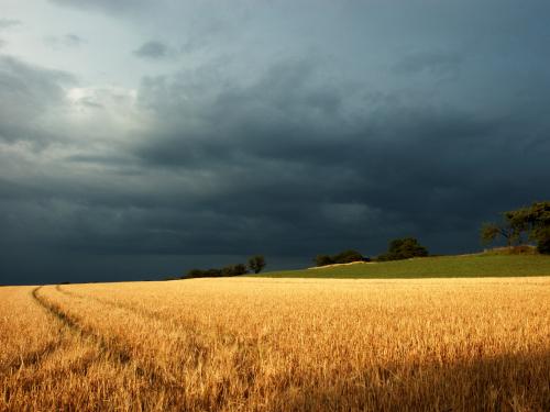 amber-grains-stormy-wallpaper.jpg