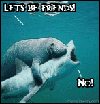 lets-be-friends-no.gif