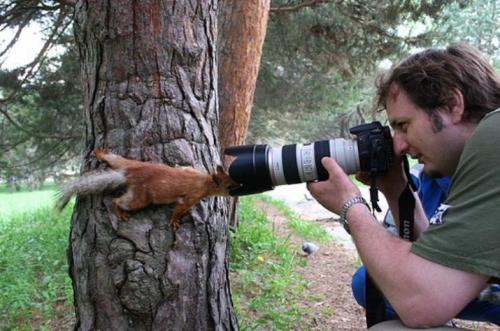squirrel-photographer.jpg
