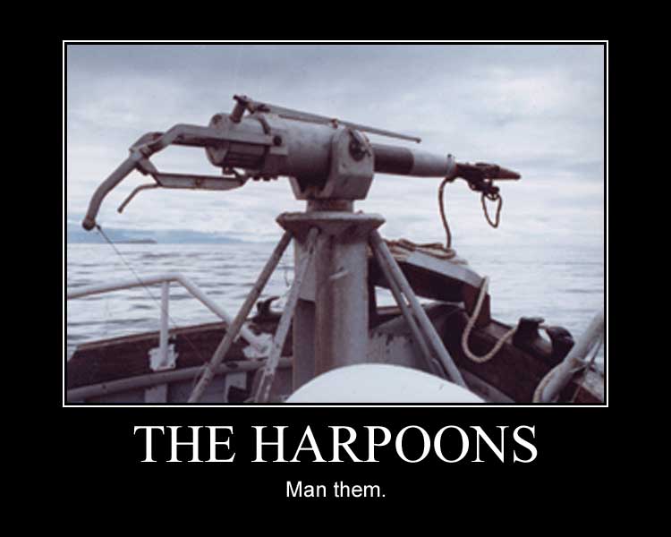 theharpoons