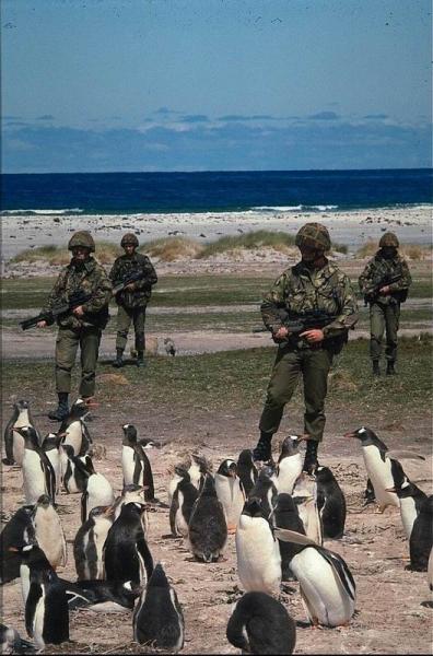 army-penguin-watchers.jpg