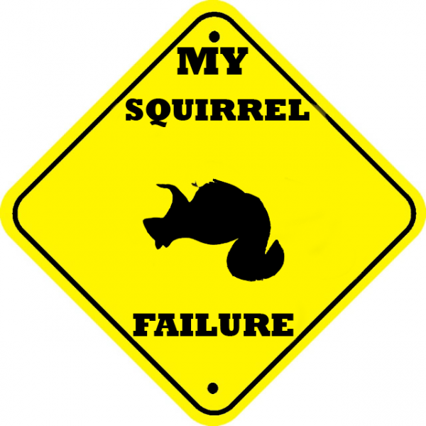 my-squirrel-failure.png