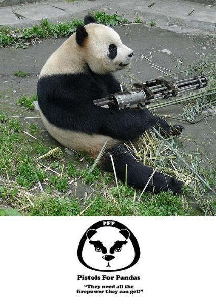 panda needz protection too...