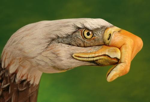 hand-eagle-3.jpg