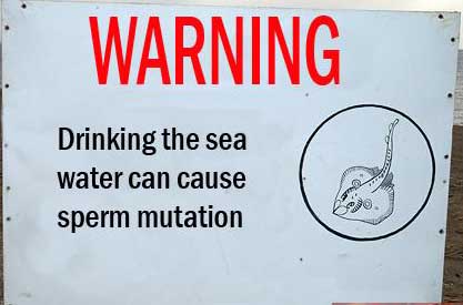 sea-water-sperm-mutation.jpg