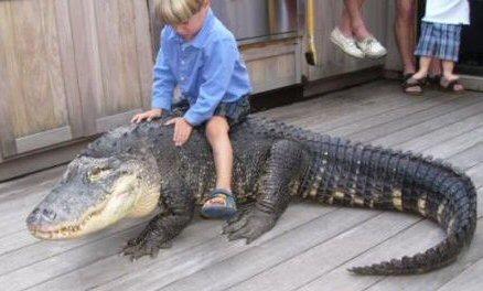 Kid on croc