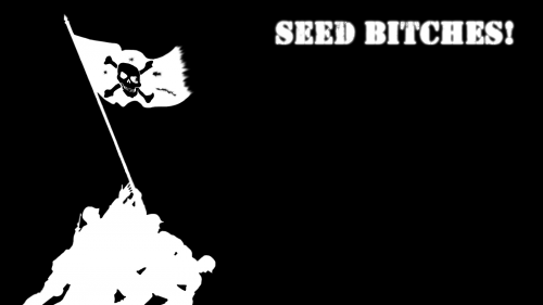 seed-bitches-bit-torrent.png