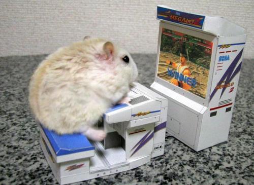 gaming-rodent
