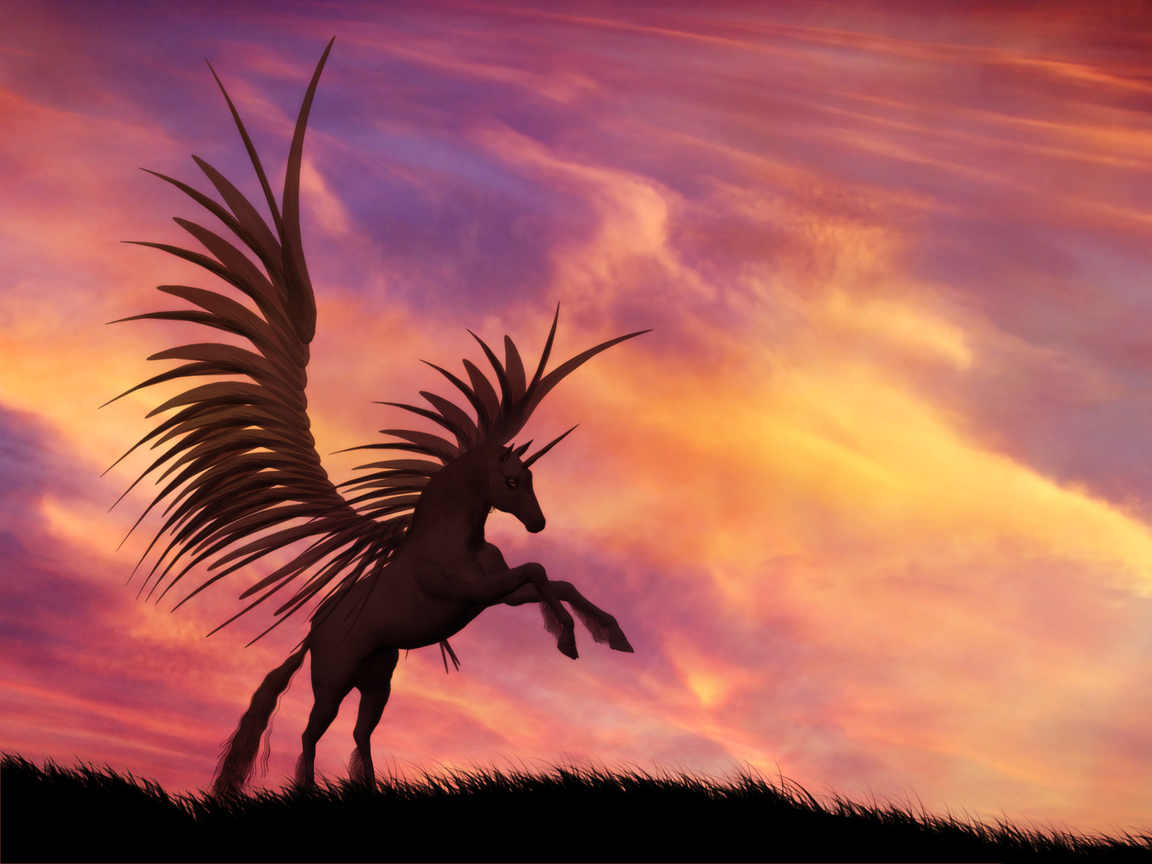 Sunset Unicorns