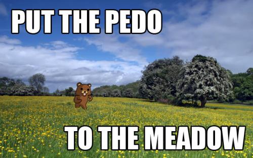 pedo-to-the-meadow.jpg