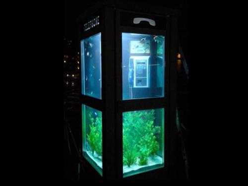 telephone-fish-tank.jpg