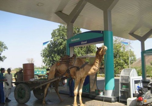 Camel Fuel Up