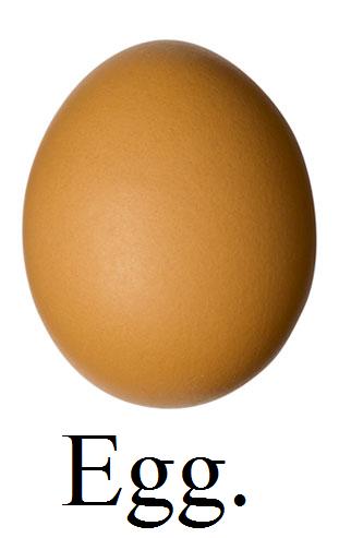 EGG