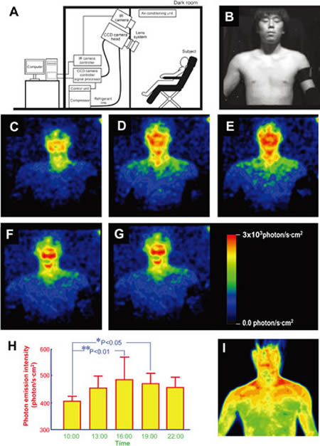 Human-bioluminescence