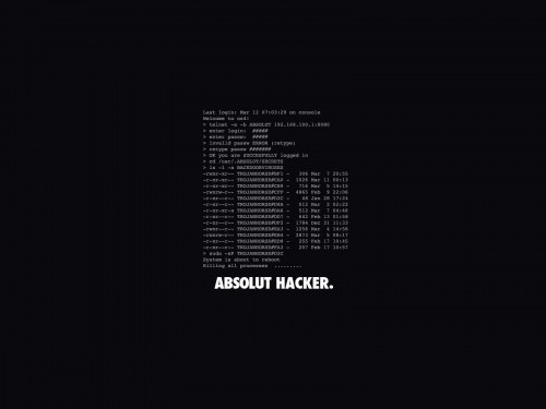 absolut hacker