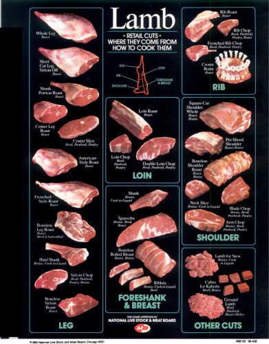 lamb retail cut guide