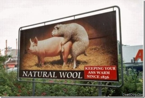 natural wool