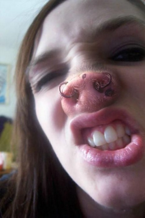 pig nose