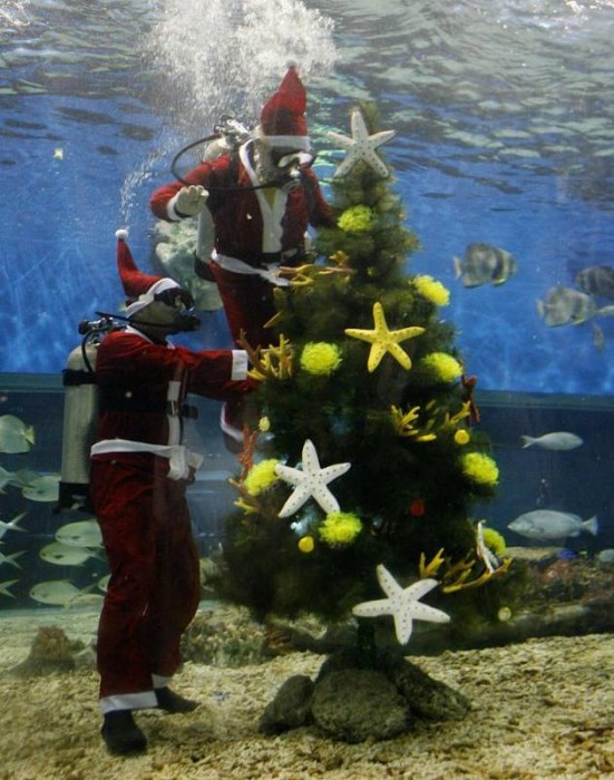 underwater xmas tree