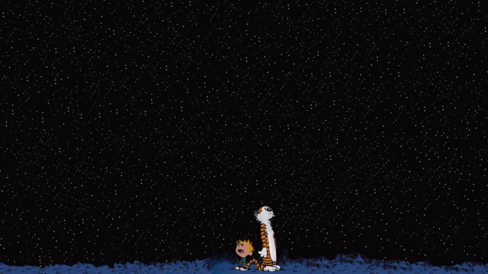 calvin and hobbes night sky wallpaper