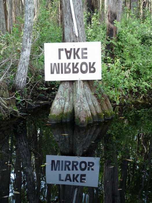 mirror lake