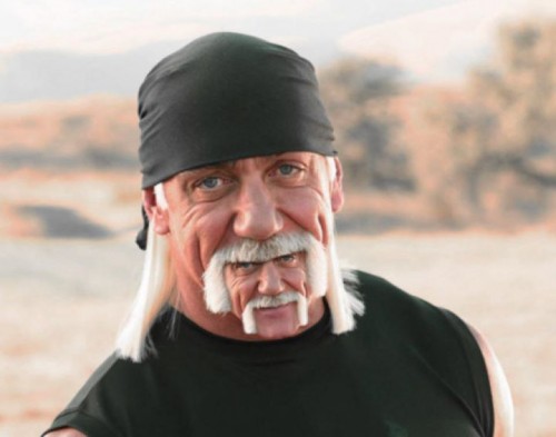 hulk hogan hogan