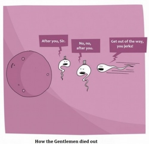 how the gentleman died out