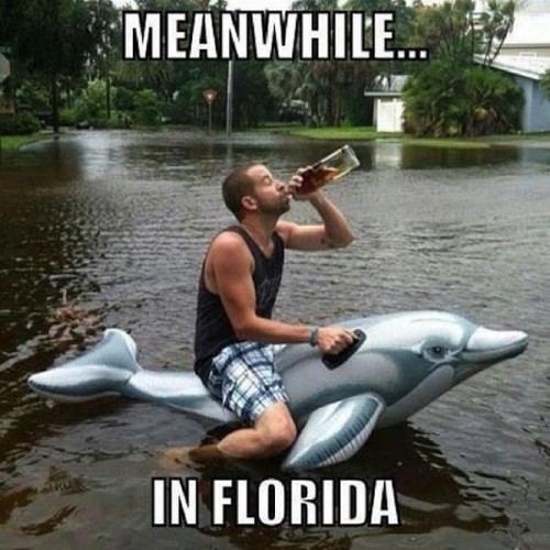 meanwhile, in florida