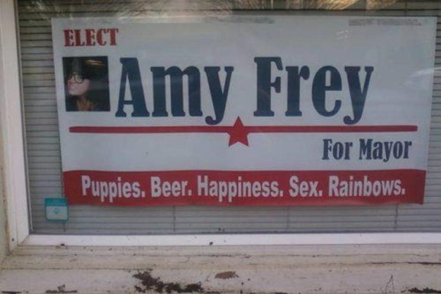 elect amy frey for mayor - puppies, beer, happiness, sex, rainbows.jpg