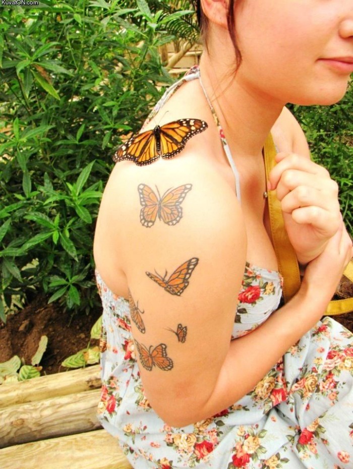 butterfly and butterfly tattoos.jpg