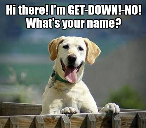 What's your name.jpg