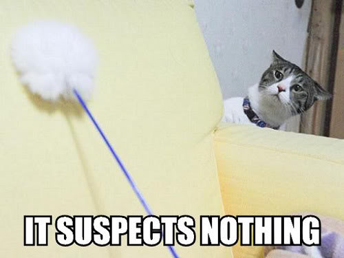 It suspects Nothing.jpg