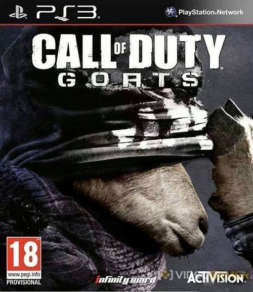 Call of Duty - Ghosts.jpg