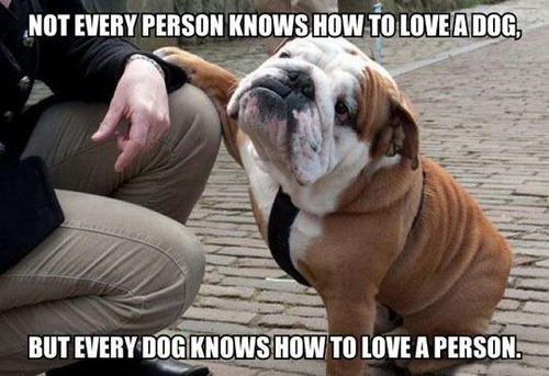 not every person knows how to love a dog.jpg
