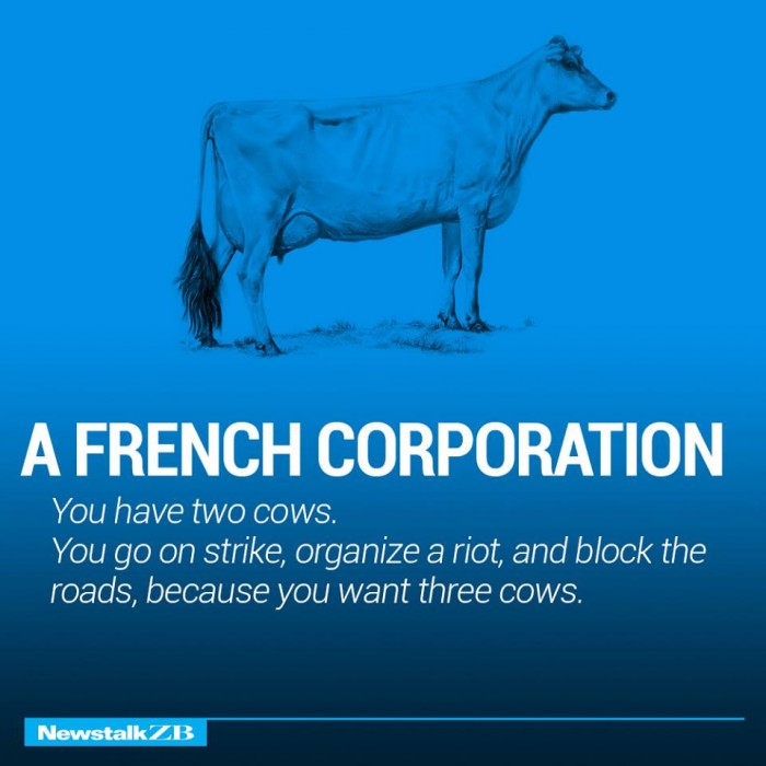 ecnomics-corporation-cows-2333924