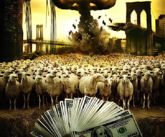 Sheep like money.jpg