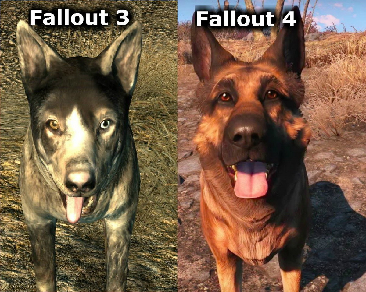 Dog from fallout 4 фото 111