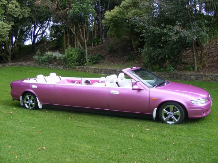 Pink Limo.jpg