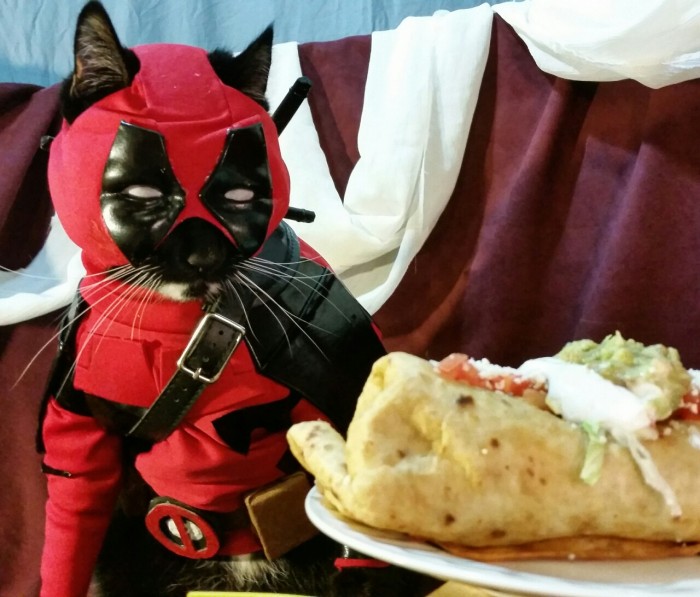 Catpool-Deadpool-Cosplay-001