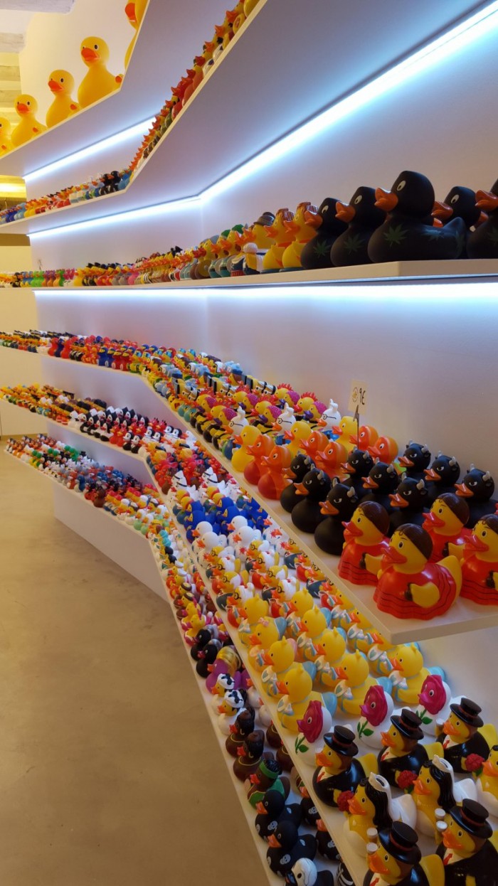 A massive Duck Collection.jpg