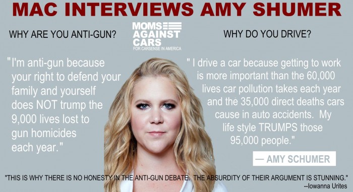 Amy Shumer is anti-gun.jpg