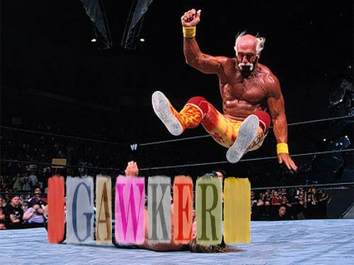 hogan vs gawker.jpg