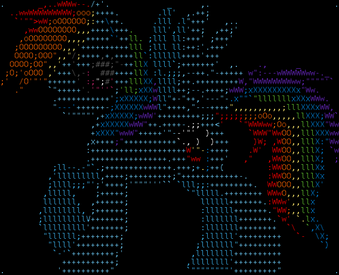 rainbow_dash_ascii_by_tadness-d4b0eff