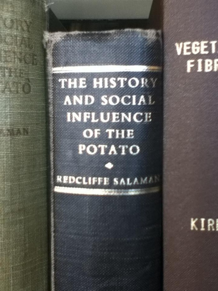 the history and social influence of the potatoe.jpg