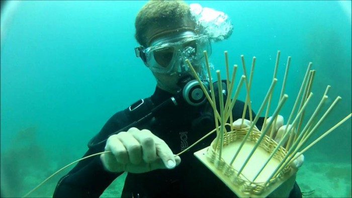 underwater basket weaving.jpg