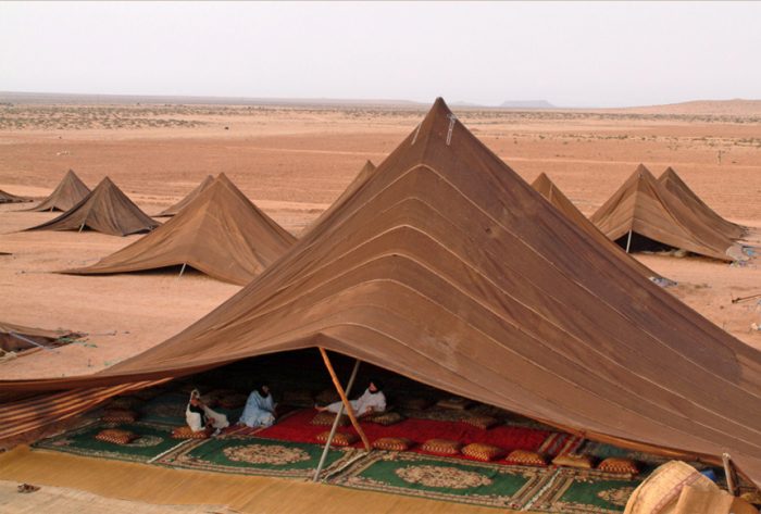 How to camp in a desert.jpg